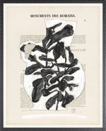Parisian Page Print 8- Black and White Vessel
