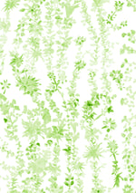 "Aster" in Green Wallpaper for Lo Home x Junior Sandler