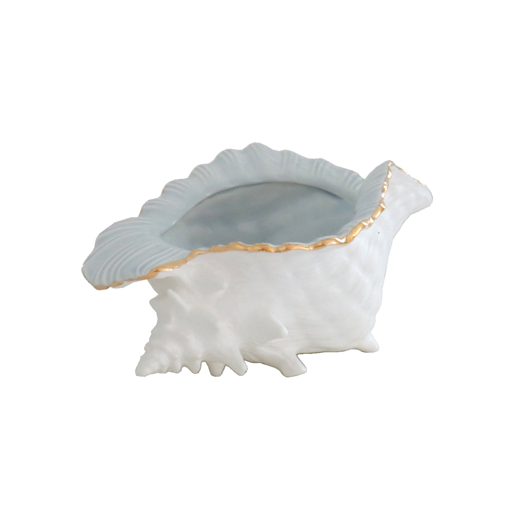 Conch Seashell Ceramic Planter 