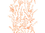 "Lantana" in Orange Fabric for Lo Home x Junior Sandler