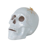 "Mr. Bones and Charlotte" Skull Decor with 22K Gold Accents- Light Blue